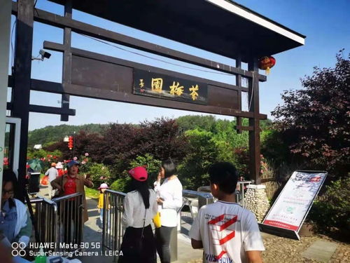 羅田假日旅游 產品豐富，服務文明有序